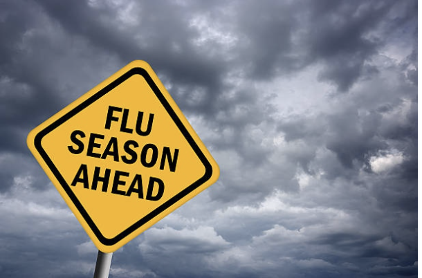 flu road map